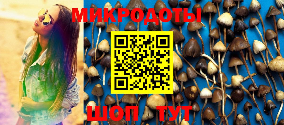 Галлюциногенные грибы Psilocybe  Галлюциногенные грибы Psilocybe  Котовск  Вход с VPN 